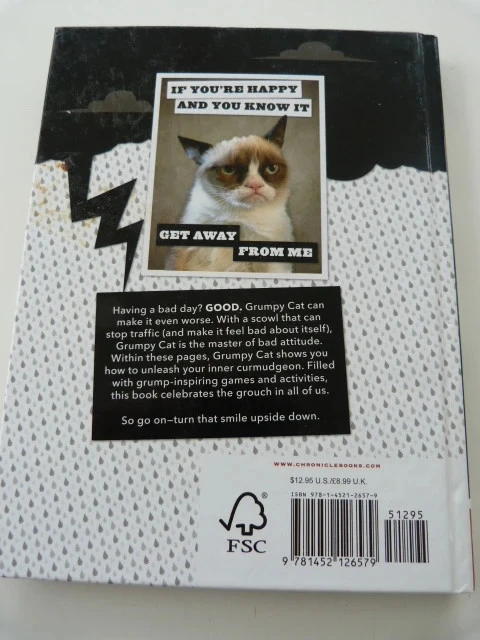 grumpy cat – photo 4